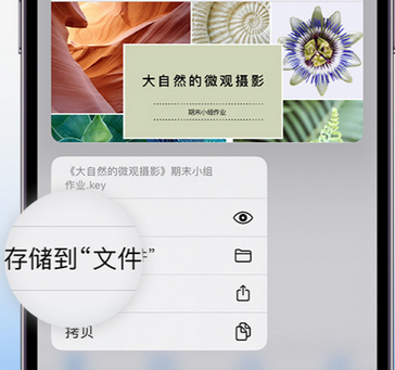 端州apple维修中心分享iPhone文件应用中存储和找到下载文件