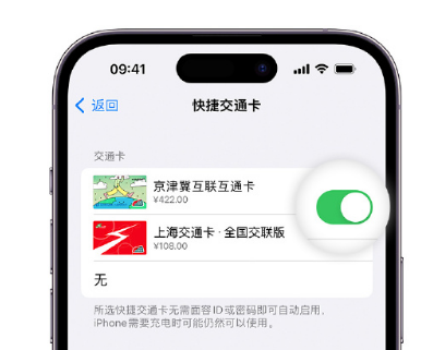 端州apple维修点分享iPhone上更换Apple Pay快捷交通卡手绘卡面 