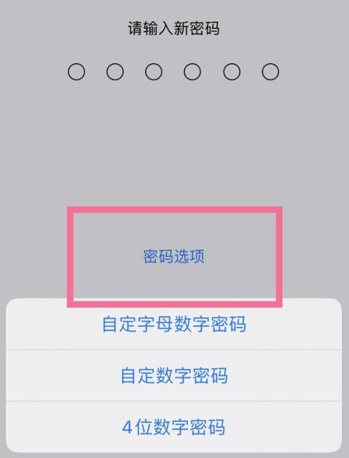 端州苹果14维修分享iPhone 14plus设置密码的方法 