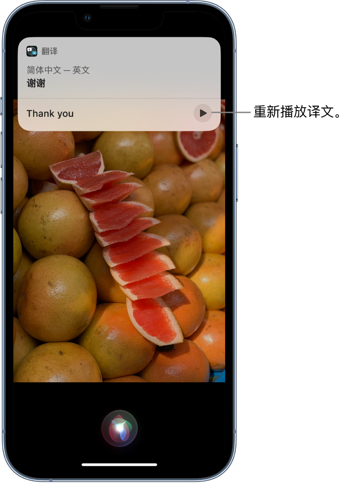 端州苹果14维修分享 iPhone 14 机型中使用 Siri：了解 Siri 能帮你做什么 