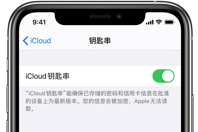 端州苹果手机维修分享在 iPhone 上开启 iCloud 钥匙串之后会储存哪些信息 