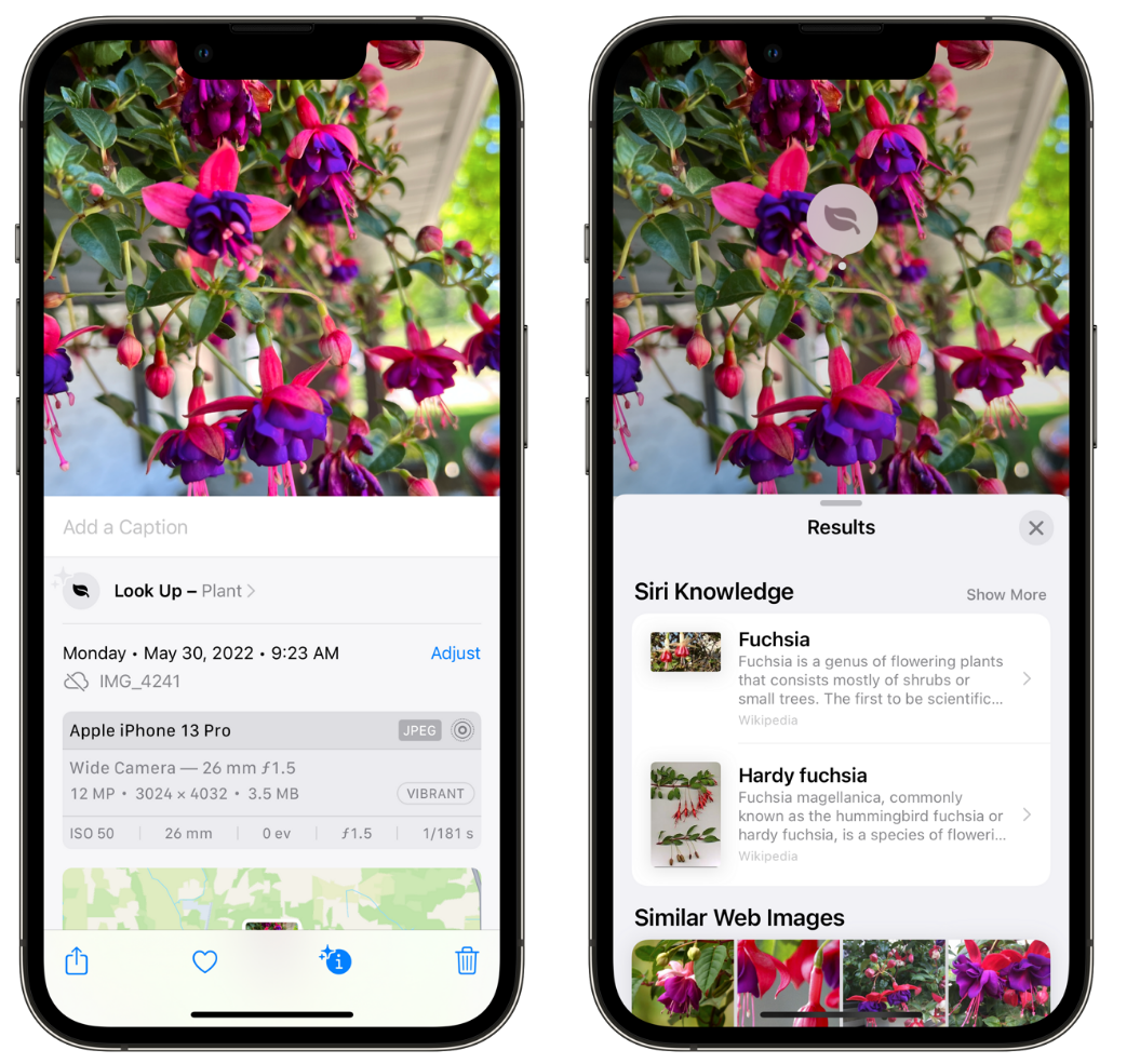 端州苹果手机维修分享小技巧：使用 iPhone 相机识别花卉植物 