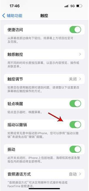 端州苹果手机维修分享iPhone手机如何设置摇一摇删除文字 