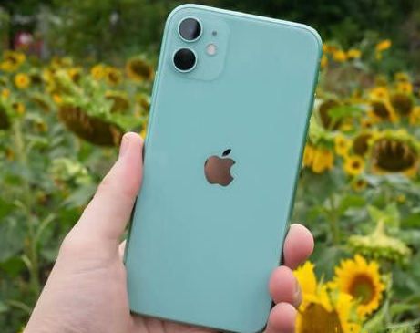 端州苹果维修点分享iPhone 11锁屏密码认知与使用科普 