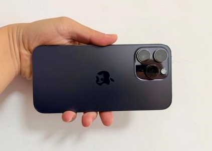 端州苹果维修点分享iPhone 14 Pro Max黑屏少见故障盘点 